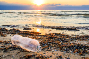 プラスチックごみ