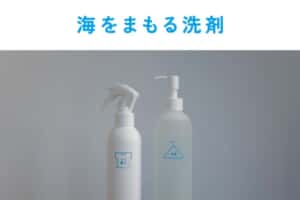 国際基準をクリアした「環境に優しいクリーニング」、配送&保管無料サービスを開始!