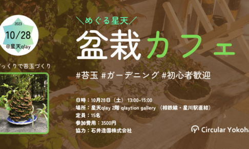 【10/28 横浜】Circular Yokohama「松ぼっくりを使って苔玉を手作りしてみよう！【盆栽カフェ】」開催