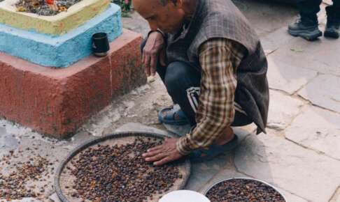 BIKAS COFFEE VILLAGE 2025