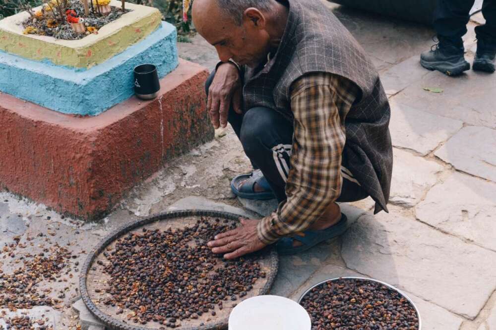 BIKAS COFFEE VILLAGE 2025