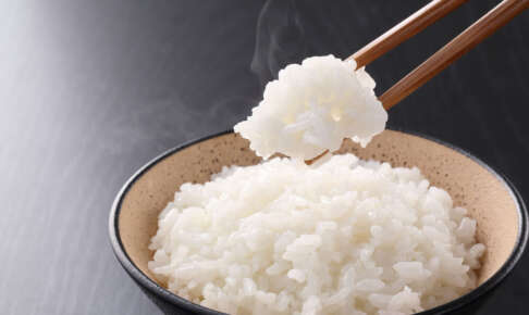 炊き立てご飯