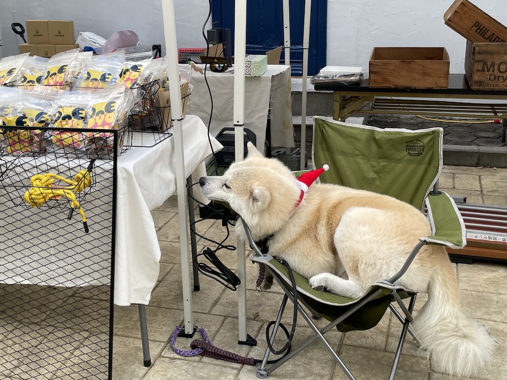 ワンちゃん店長