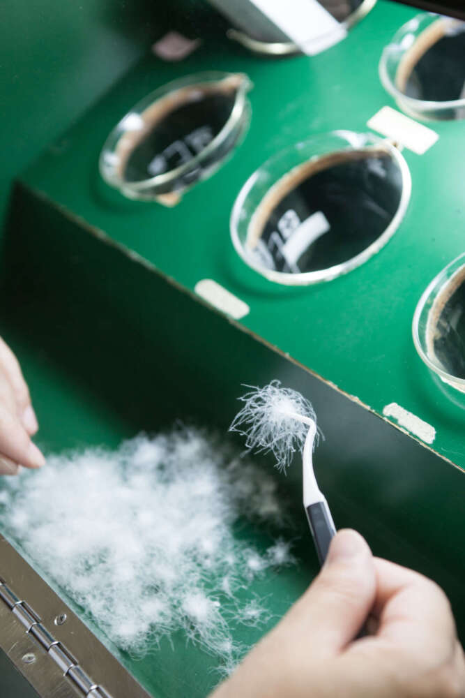 河田フェザーの羽毛リサイクル技術