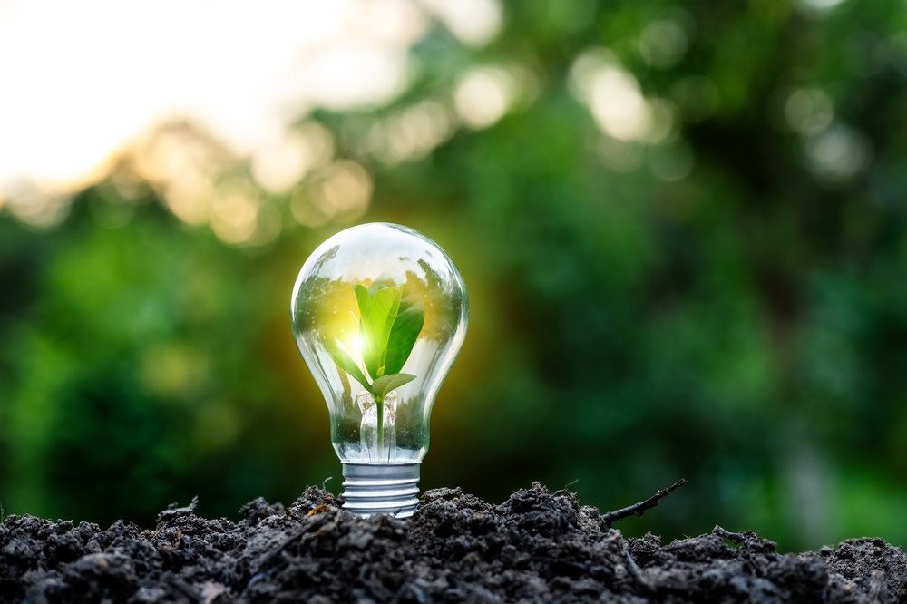 保存再生エネルギーイメージ