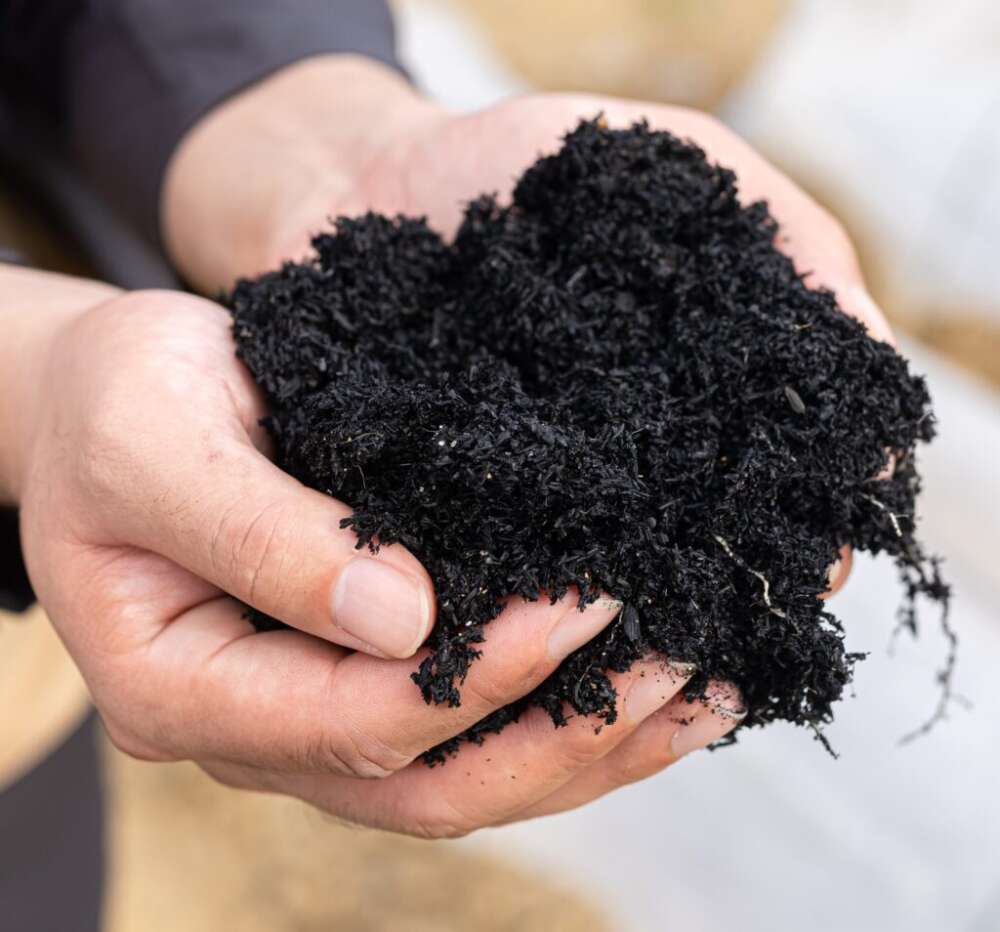 高機能バイオ炭「宙炭(そらたん)」