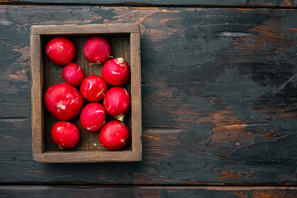 木箱に詰められた採れたての赤いラディッシュ