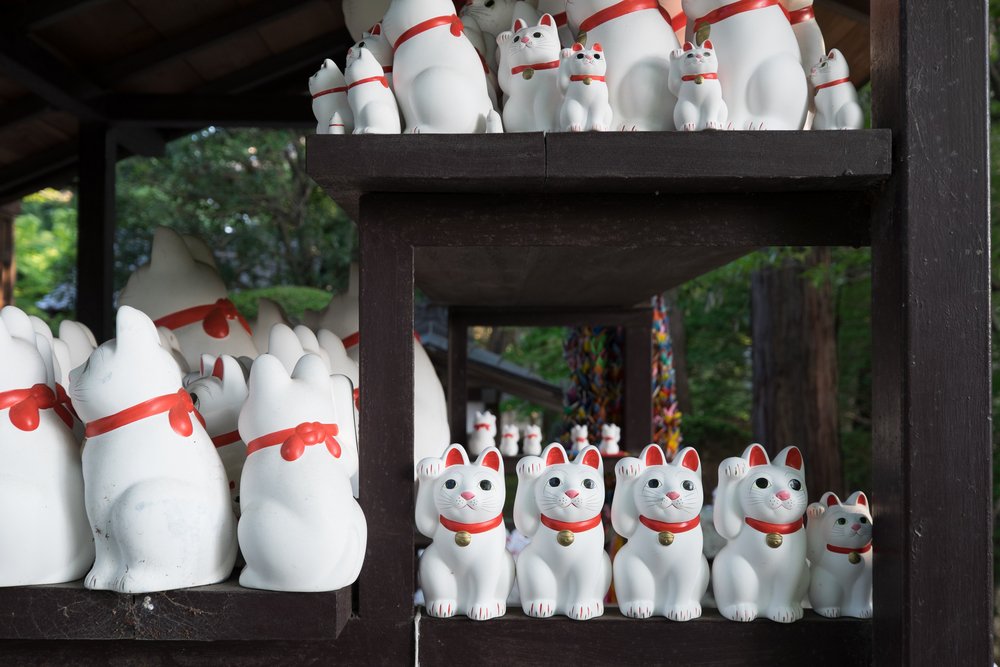 寺の木製の棚に並べて奉納された白い招き猫