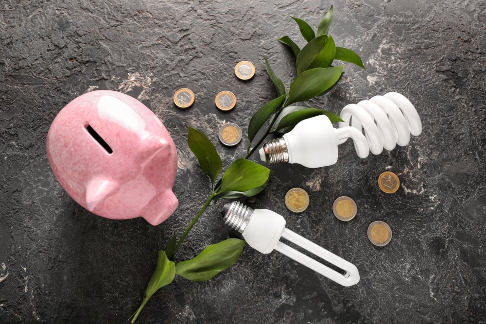 ピンクの豚の貯金箱と電球型蛍光灯、硬貨、緑の葉