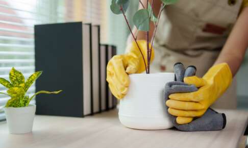 手袋をして植木鉢を布で拭く手