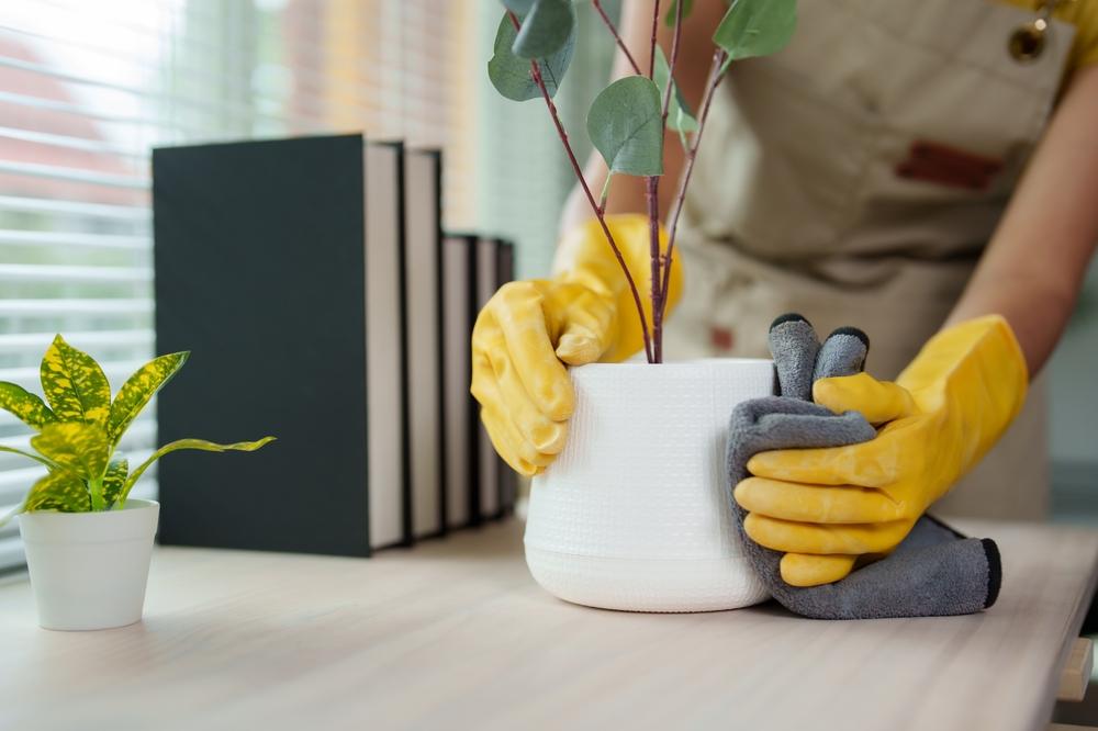手袋をして植木鉢を布で拭く手