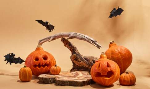 くり抜いたかぼちゃのランタンと、流木や木を使ったナチュラルなハロウィン装飾