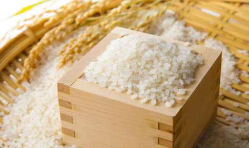 升に盛られた白米と稲穂。ふるさと納税の定番返礼品のイメージ