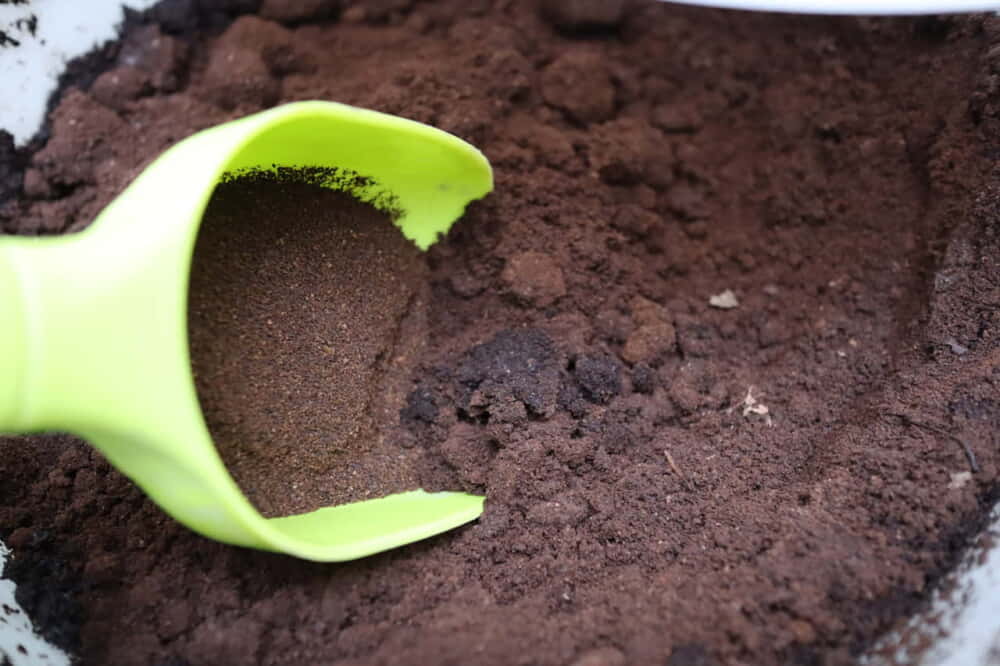 家庭菜園士が教える コーヒーかすを再利用したぼかし肥料の作り方 ゼロウェイスト ごみゼロ生活に役立つ情報 アイデア Life Hugger