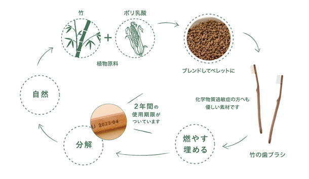 人と環境に優しいファインのエコシリーズが 新ブランド「MEGURU」としてリニューアル！ 「MEGURU 竹の歯ブラシ」4種を6月10日(木)より販売開始！