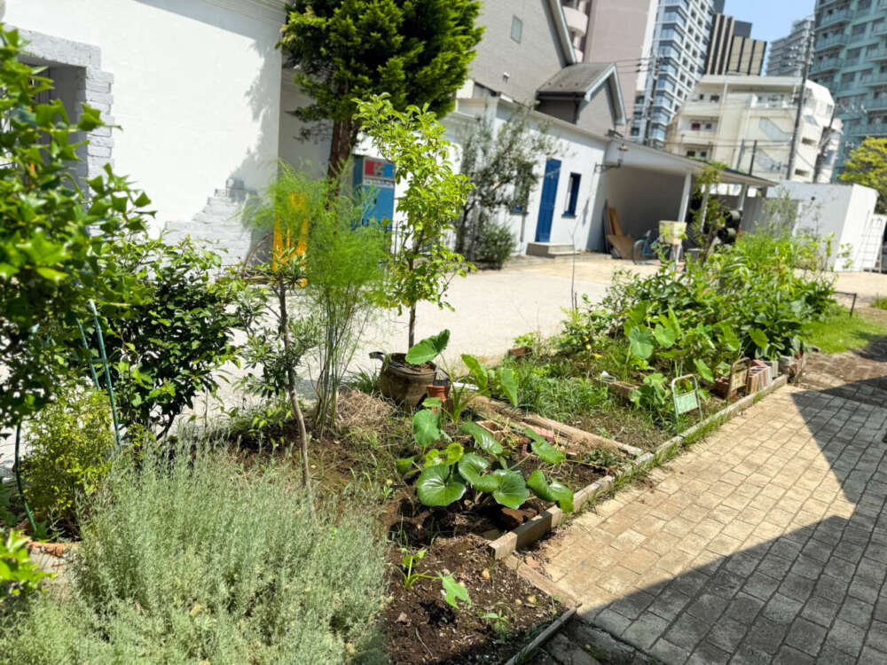 めぐもり