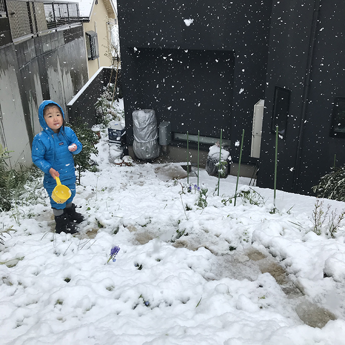 金谷家の庭＆畑に積雪が