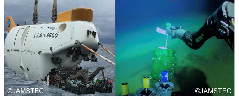 生分解性プラスチック、水深5,000mの深海でも分解されることが世界で初めて明らかに。世界中の海で可能か